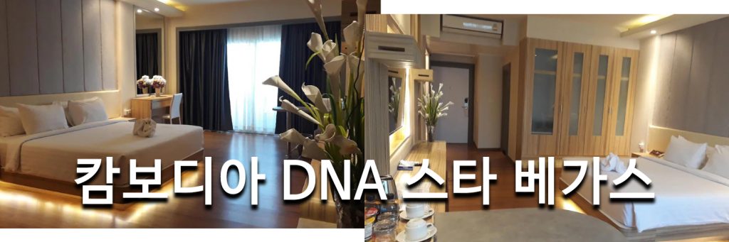 캄보디아 DNA 스타 베가스 카지노 리조트