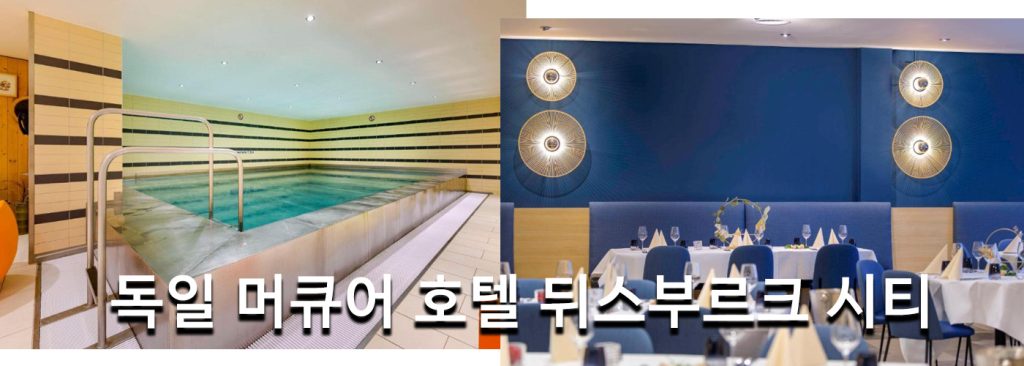 독일 머큐어 호텔 뒤스부르크 시티