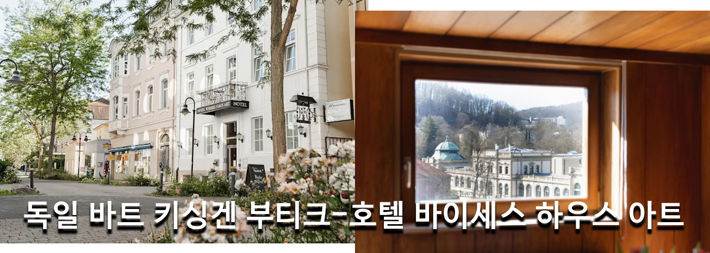 독일 바트 키싱겐 부티크-호텔 바이세스 하우스 아트