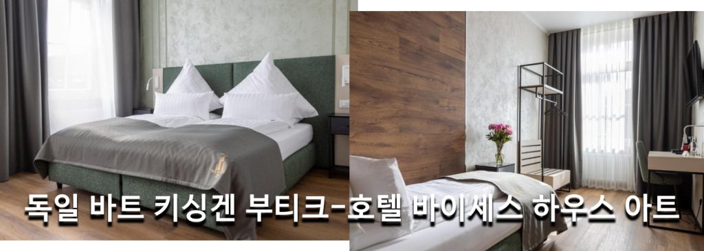 독일 바트 키싱겐 부티크-호텔 바이세스 하우스 아트