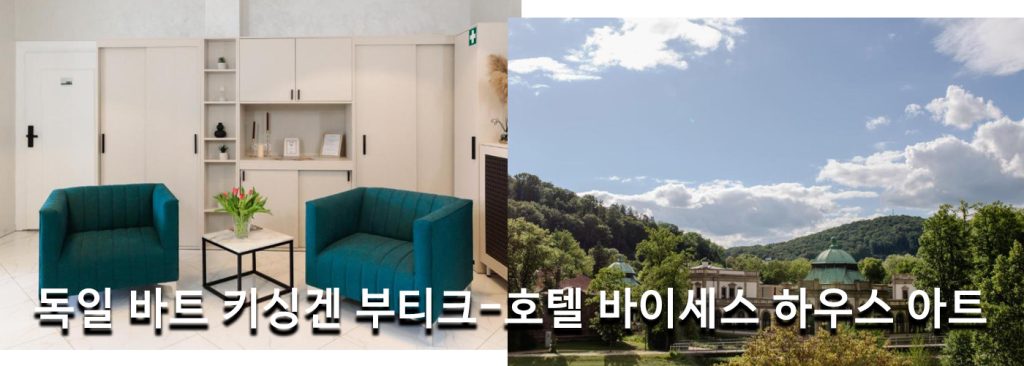 독일 바트 키싱겐 부티크-호텔 바이세스 하우스 아트