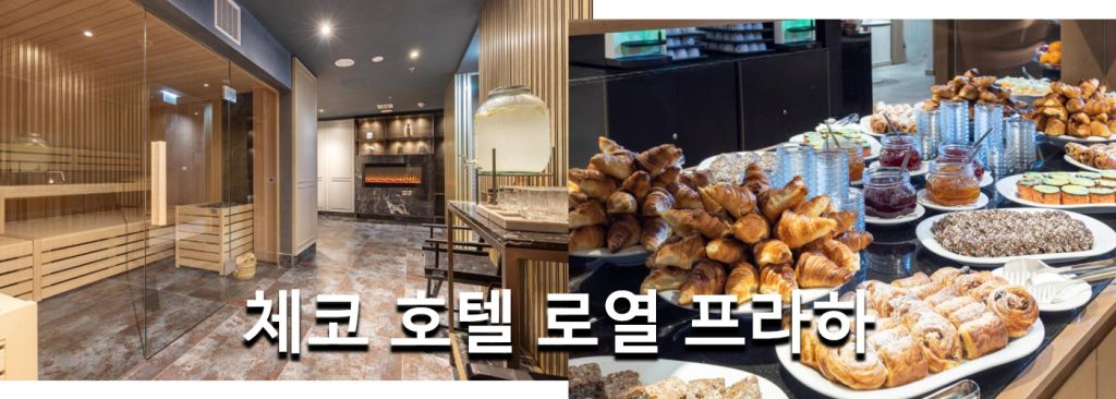 체코 호텔 로열 프라하