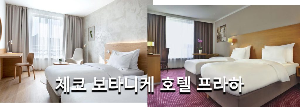 체코 보타니케 호텔 프라하