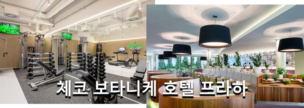 체코 보타니케 호텔 프라하