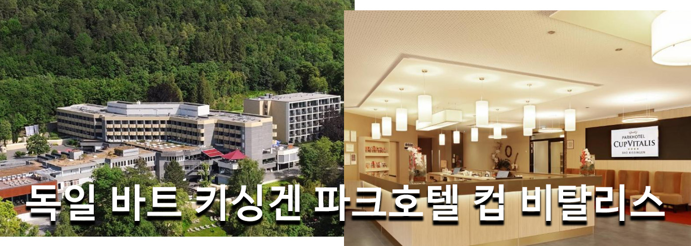 독일 바트 키싱겐 파크호텔 컵 비탈리스