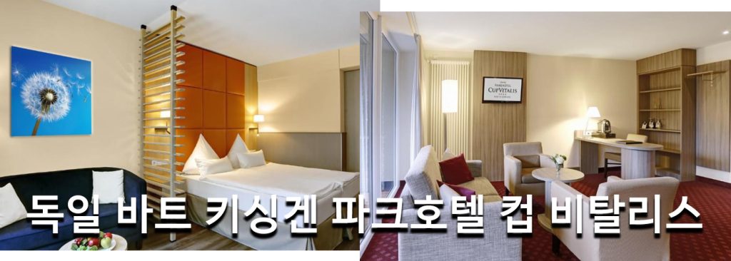 독일 바트 키싱겐 파크호텔 컵 비탈리스