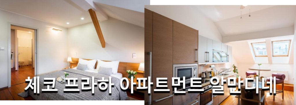 체코 프라하 아파트먼트 알만디네