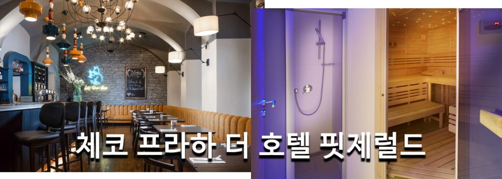 체코 프라하 더 호텔 핏제럴드