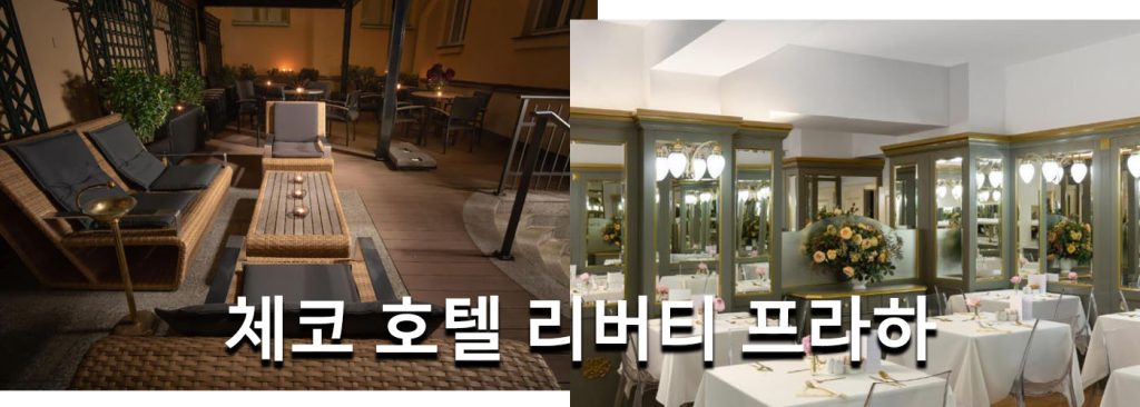 체코 호텔 리버티 프라하