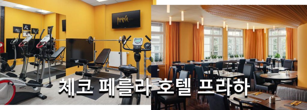 체코 페를라 호텔 프라하
